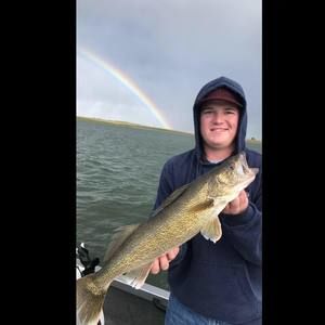 Meet your Posher, Steven